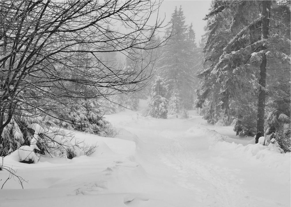 1957: Cyclone-level storms in Kansas